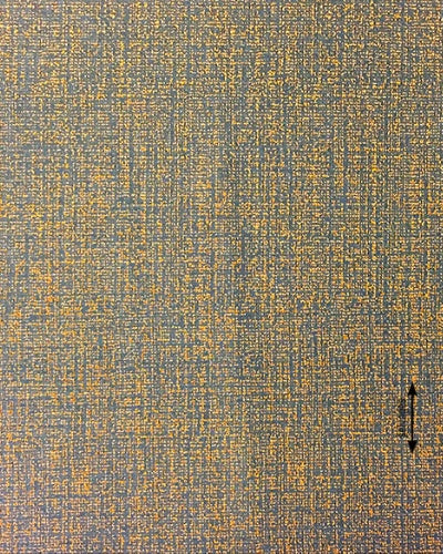 COPPIA CUSCINI HALCYON