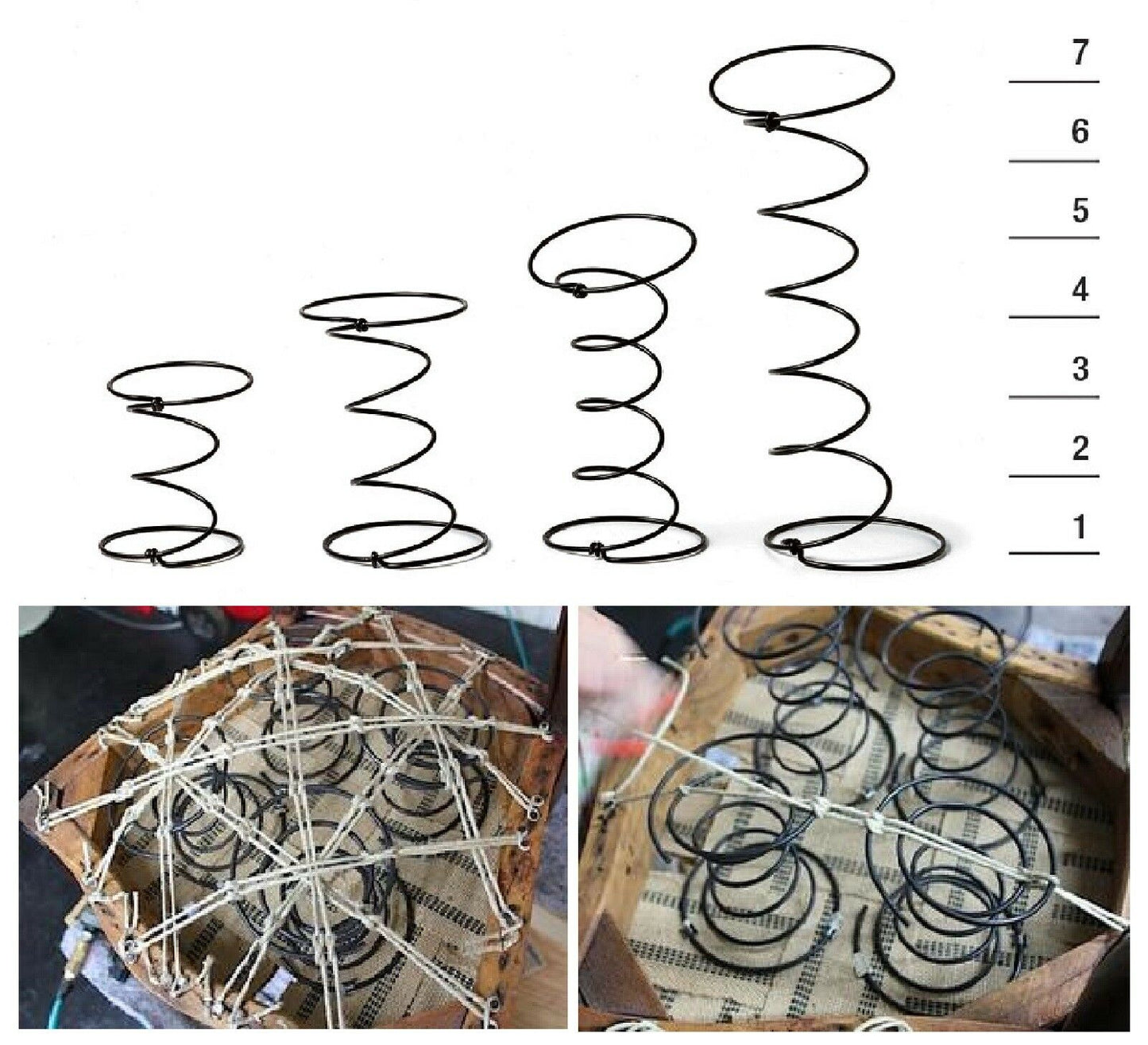 MOLLE A BICCHIERE 5 GIRI