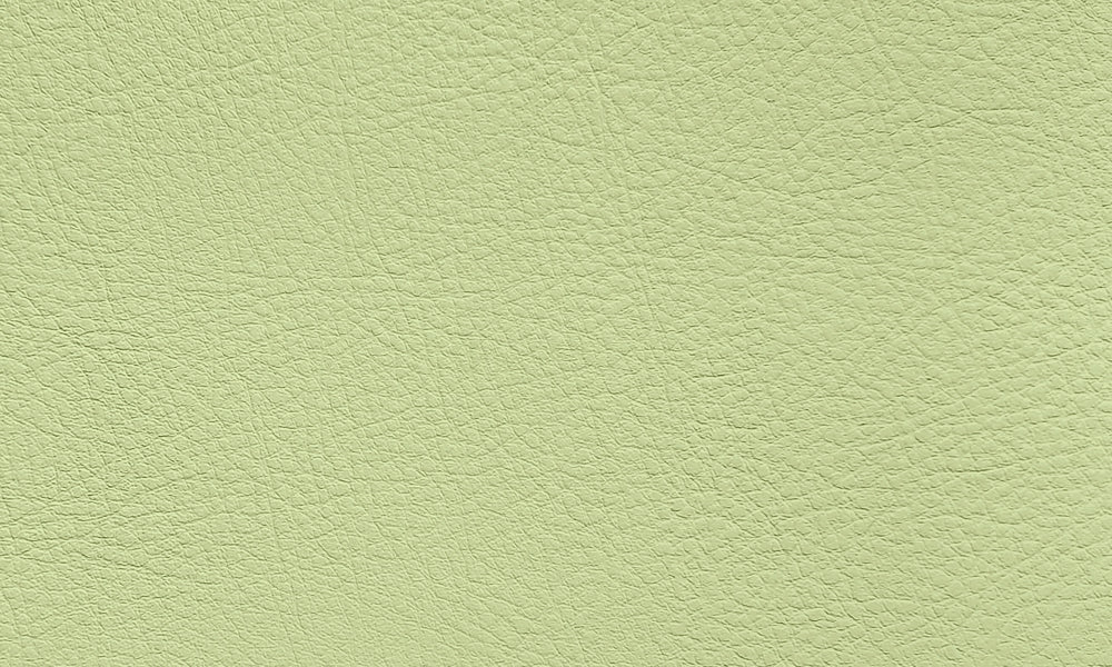 Similpelle Puria Basic colore Pistacchio 023608 - Ariel Italia