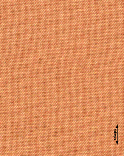 COTTOLINO