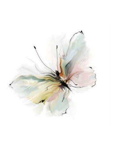 STAMPE FAUNA