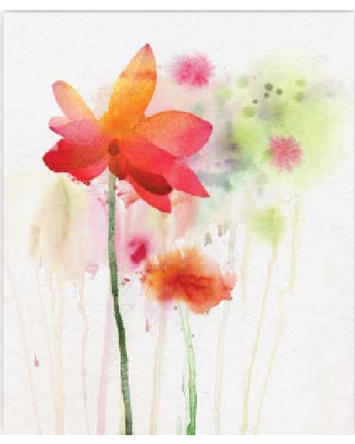 STAMPE FLORA