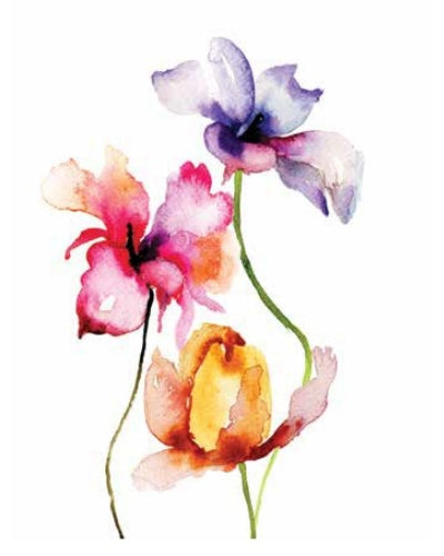 STAMPE FLORA