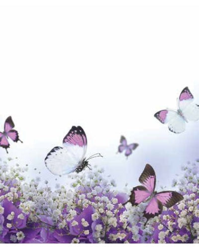 STAMPE FAUNA
