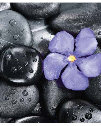 STAMPE FLORA