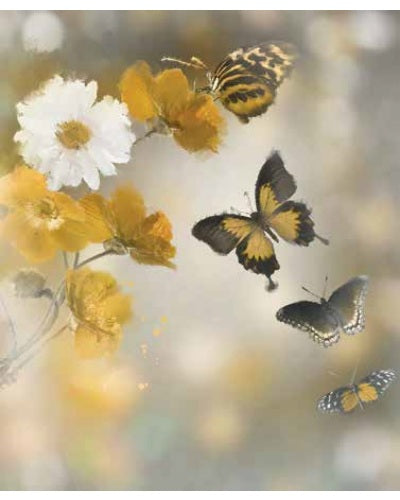 STAMPE FAUNA