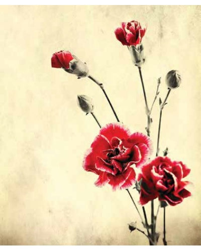 STAMPE FLORA