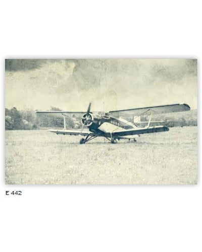 STAMPE OGGETTI